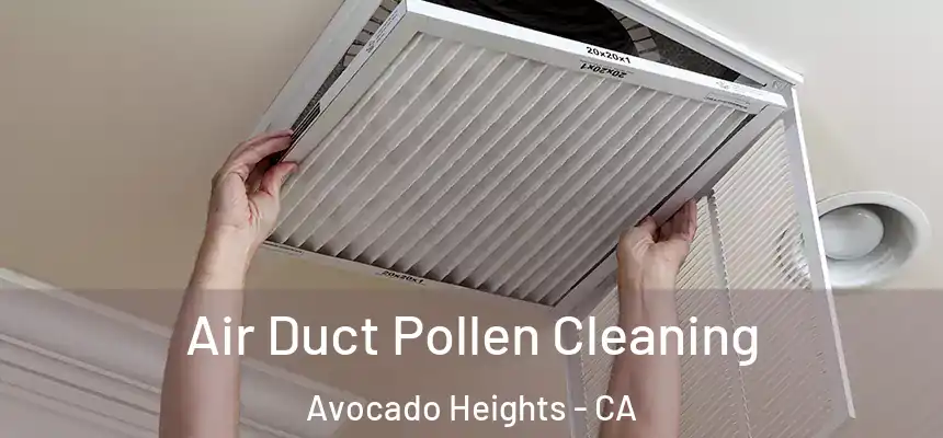 Air Duct Pollen Cleaning Avocado Heights - CA