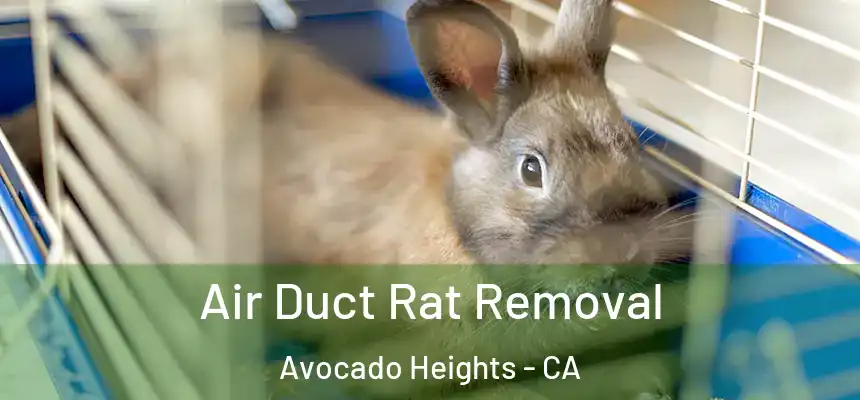  Air Duct Rat Removal Avocado Heights - CA