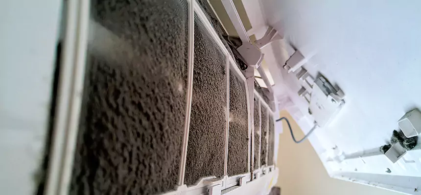 Preventive Air Duct Bacteria Removal in Avocado Heights