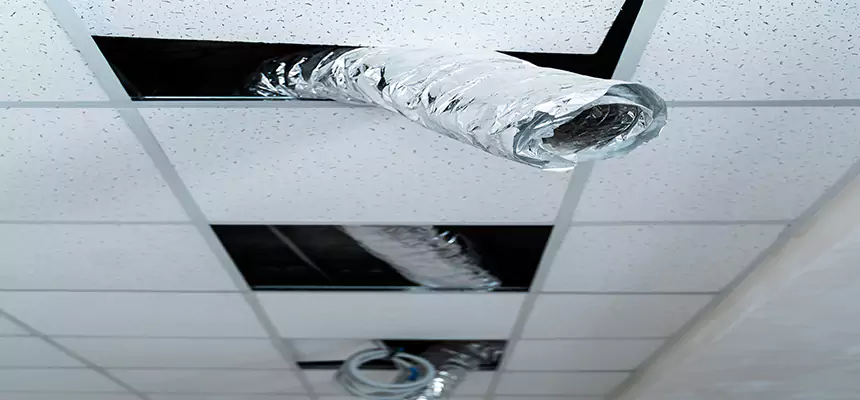 Our Air Duct Pet Hair Removal Services in Avocado Heights, CA