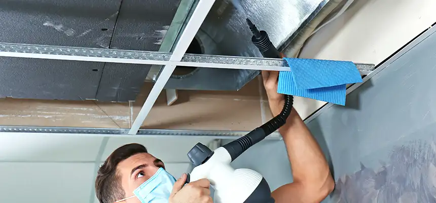 Our Air Duct Rodent Removal Services in Avocado Heights, CA