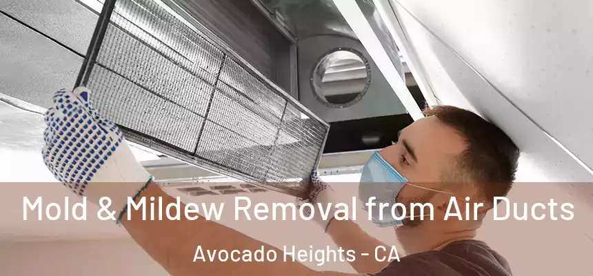 Mold & Mildew Removal from Air Ducts Avocado Heights - CA