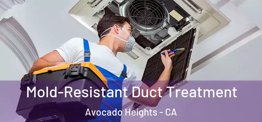 Mold-Resistant Duct Treatment Avocado Heights - CA