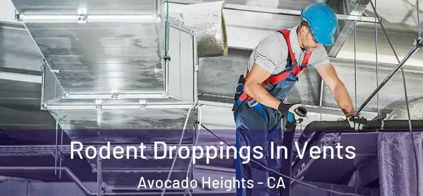Rodent Droppings In Vents Avocado Heights - CA