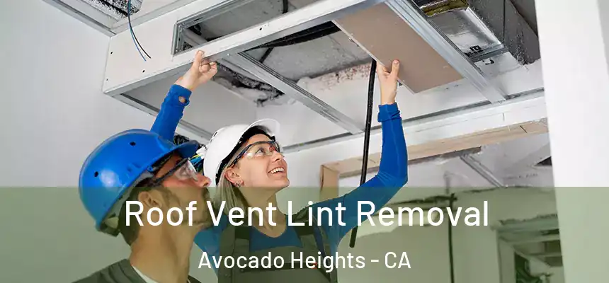 Roof Vent Lint Removal Avocado Heights - CA