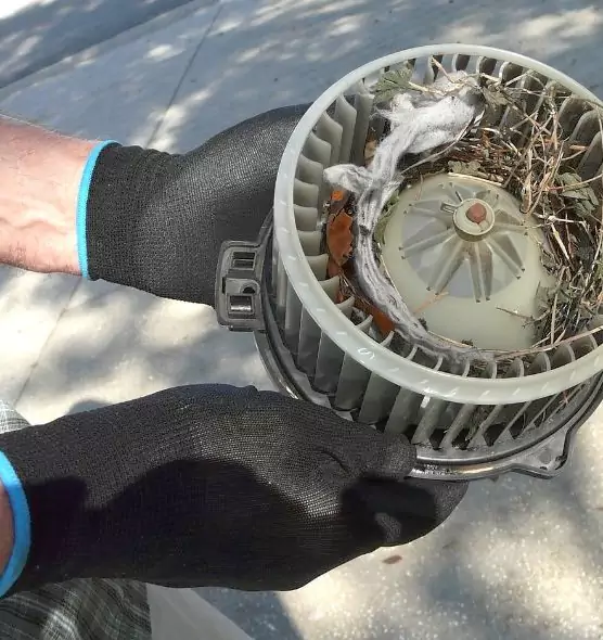 About Air Duct Mice Removal in Avocado Heights, CA