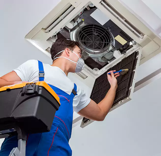 Why Homeowners & Businesses Trust Us in Avocado Heights, CA