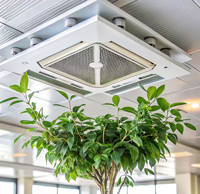 Why Homeowners & Businesses Trust Us in Avocado Heights, CA?