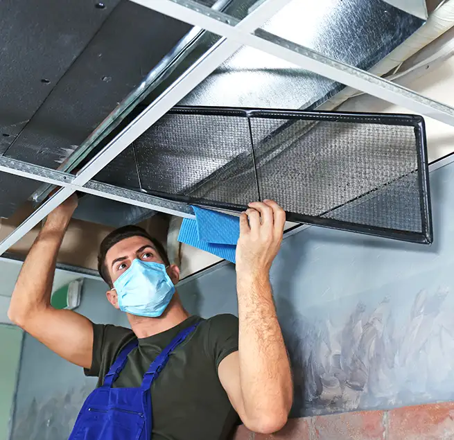 Why Homeowners & Businesses Trust Us in Avocado Heights, CA?