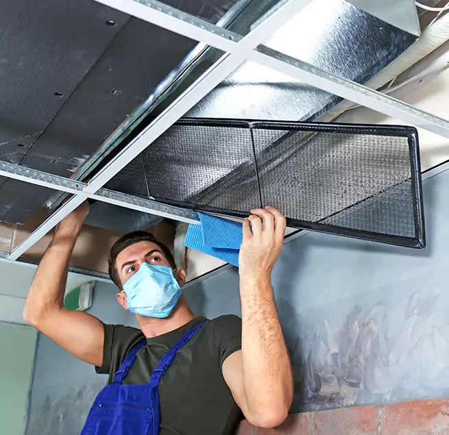 Why Homeowners Businesses Trust Us in Avocado Heights, CA?